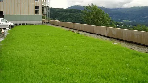 Grønt tak med gressdekke på bygning med utsikt til fjell og dal